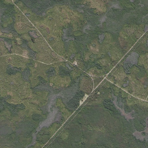 Aerial imagery of Wilma Fire Tower, FL