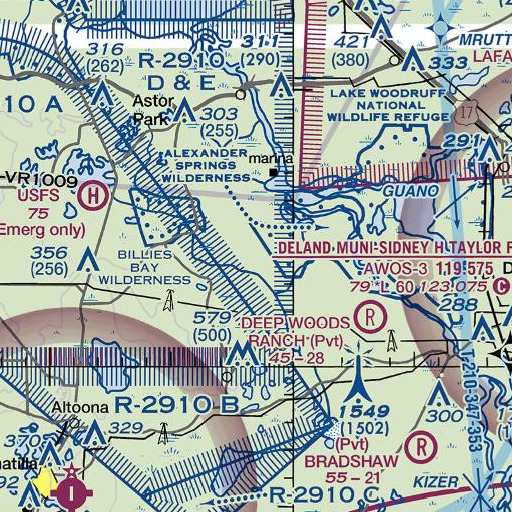 FAA VFR chart of Moses E Levy Grant, FL