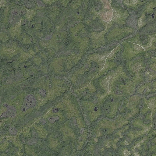 Aerial imagery of Bayou George, FL