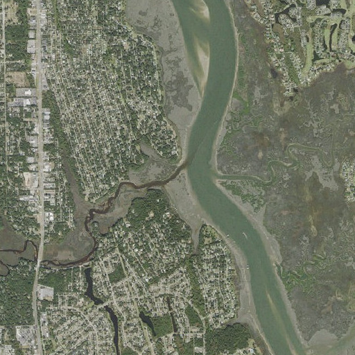 Aerial imagery of Moultrie Creek, FL