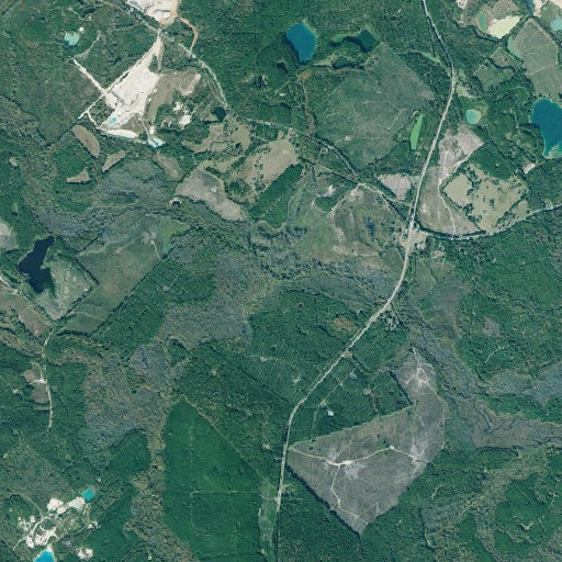 Aerial imagery of Alligator Creek, GA