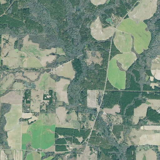 Aerial imagery of Ashburn Branch, GA