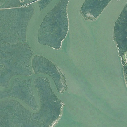 Aerial imagery of Back River, GA