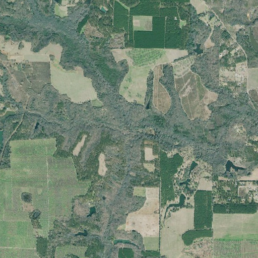 Aerial imagery of Baptist Creek, GA