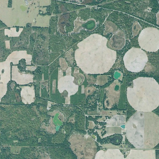 Aerial imagery of Baptizing Pond, GA