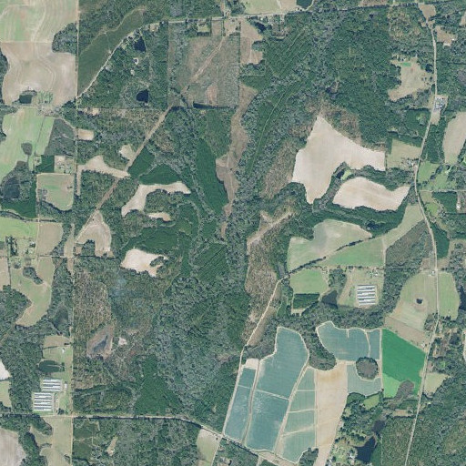 Aerial imagery of Bay Pole Branch, GA