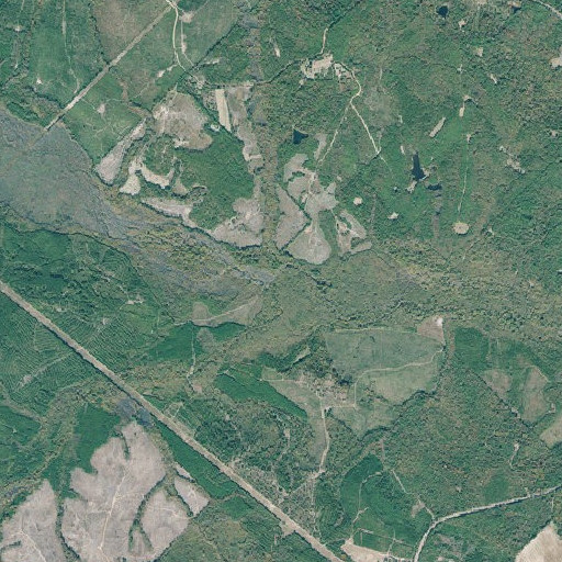 Aerial imagery of Beaverdam Branch, GA