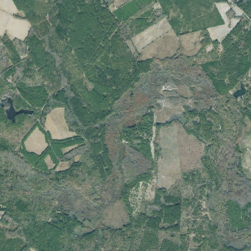 Aerial imagery of Big Branch, GA