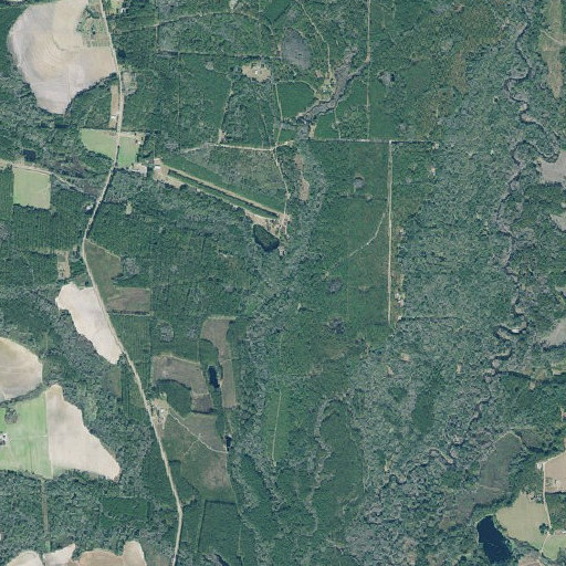 Aerial imagery of Big Branch, GA