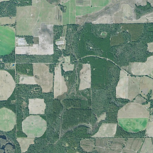 Aerial imagery of Big Slough, GA