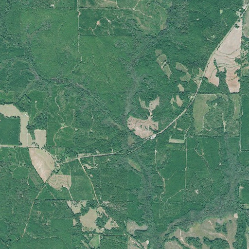 Aerial imagery of Bluff Springs Branch, GA