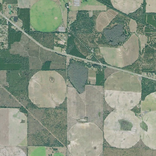 Aerial imagery of Buzzard Roost, GA