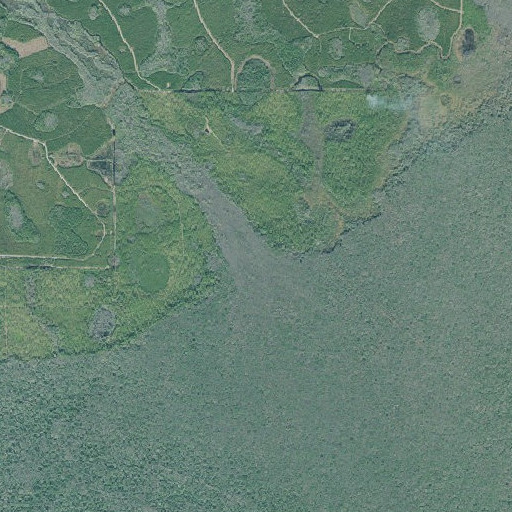 Aerial imagery of Cane Creek, GA