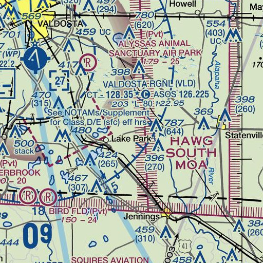 FAA VFR chart of Caney Branch, GA