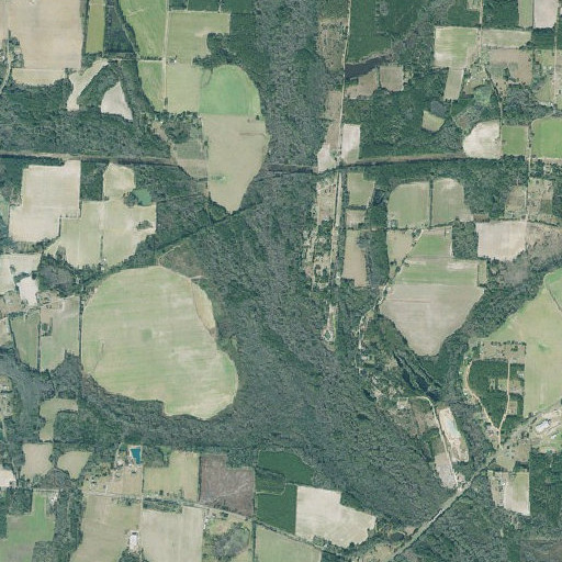 Aerial imagery of Connell Bridge, GA