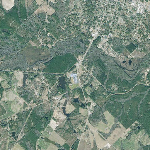 Aerial imagery of County High School, GA