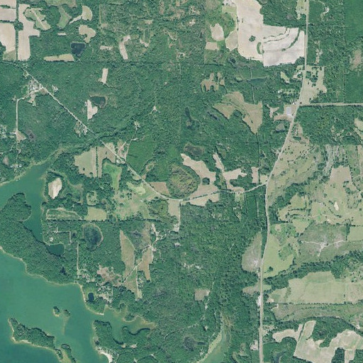 Aerial imagery of Cypress Pond, GA