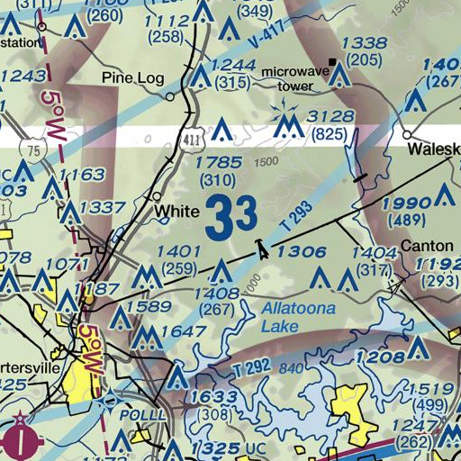 FAA VFR chart of Davis Branch, GA