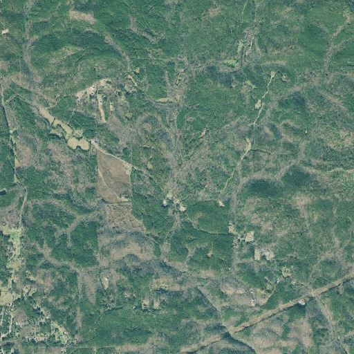 Aerial imagery of Davis Branch, GA