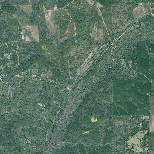 Aerial imagery of Dell School, GA