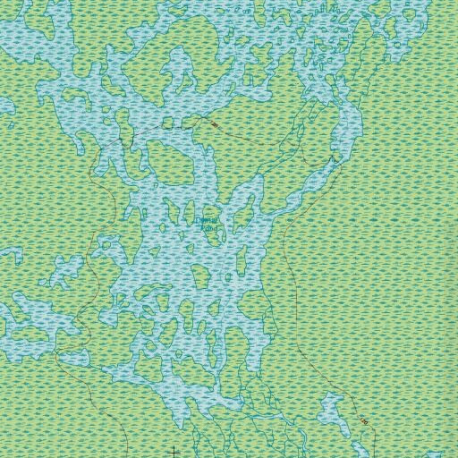 USGS 24K topo map of Dinner Pond, GA
