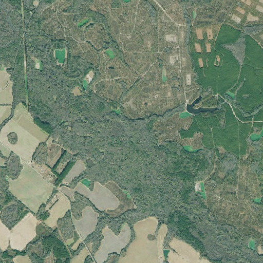 Aerial imagery of Dooley Branch, GA