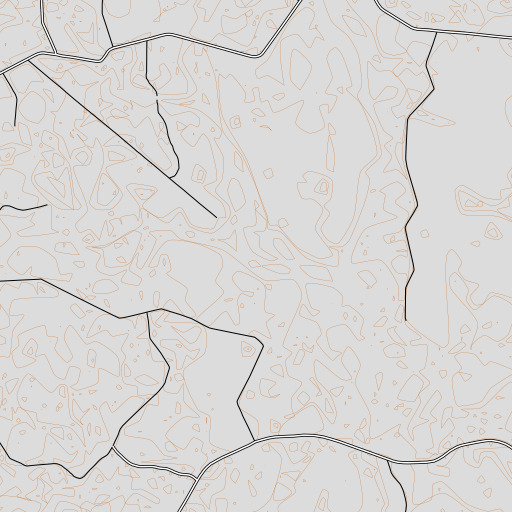 OpenTopoMap map of Dry Branch, GA