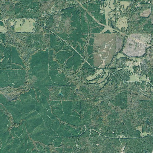 Aerial imagery of Dry Branch, GA