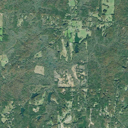 Aerial imagery of Dry Branch, GA