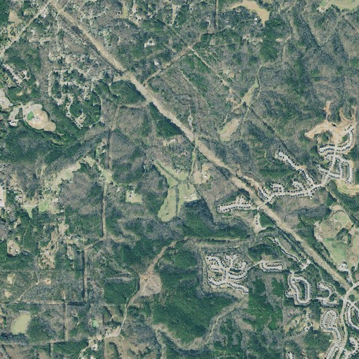 Aerial imagery of Dunaway Branch, GA