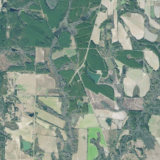 Aerial imagery of Ebenezer Cemetery, GA