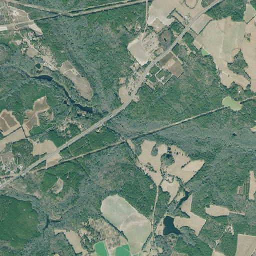 Aerial imagery of Flat Rock Branch, GA