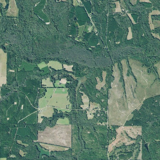Aerial imagery of Fox Branch, GA