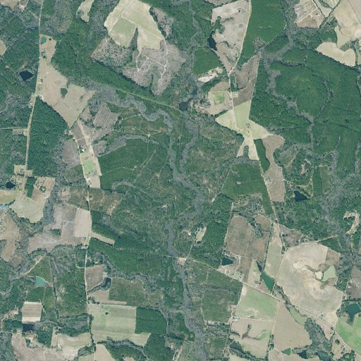 Aerial imagery of Gator Creek, GA