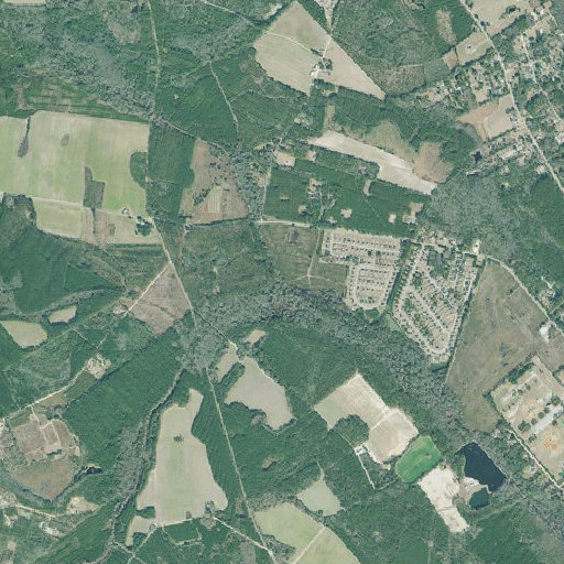Aerial imagery of Georges Branch, GA