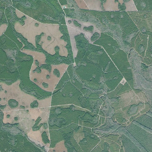 Aerial imagery of Goose Branch, GA