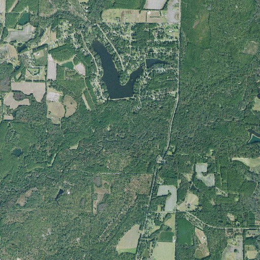 Aerial imagery of Gully Branch, GA
