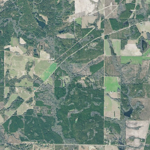 Aerial imagery of Hogans Spring, GA