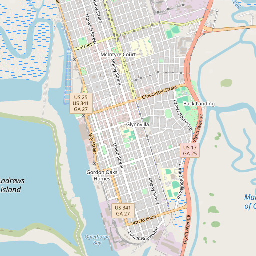 OpenStreetMap map of Lanier High School, GA