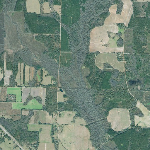 Aerial imagery of Lime Branch, GA