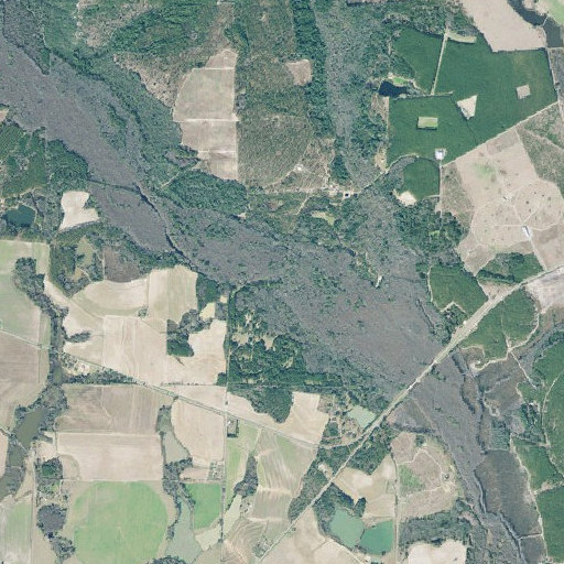 Aerial imagery of Log Lake, GA