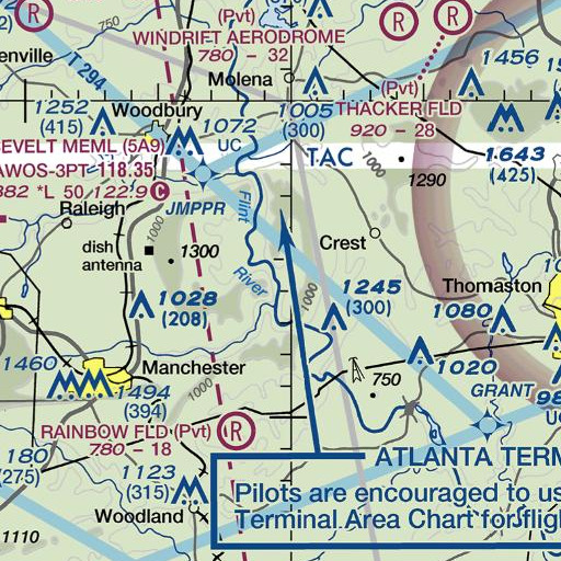 FAA VFR chart of Long Branch, GA