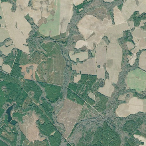 Aerial imagery of McBride Cemetery, GA