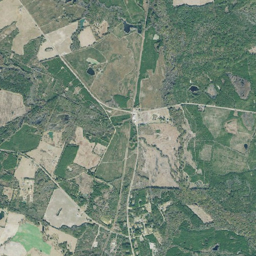 Aerial imagery of McDonald Branch, GA