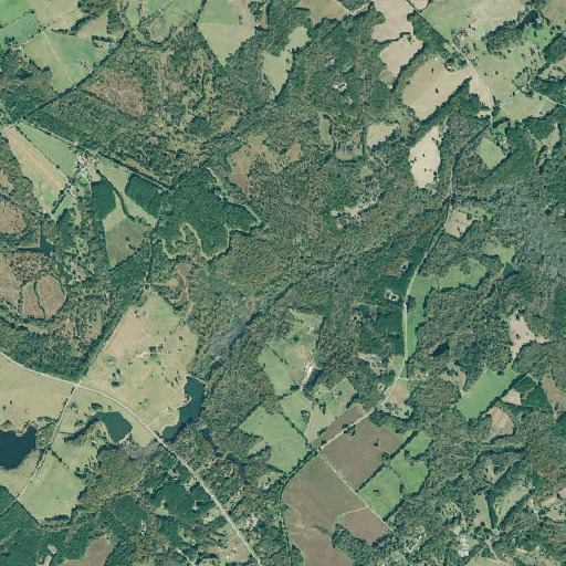 Aerial imagery of Patrick Branch, GA