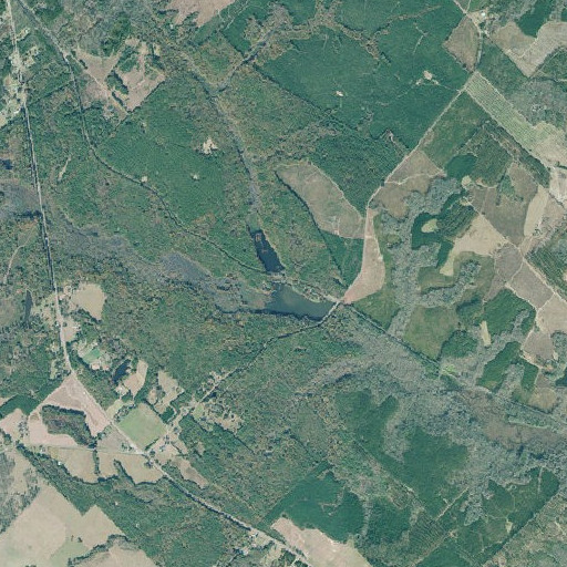 Aerial imagery of Pennywinkle Branch, GA