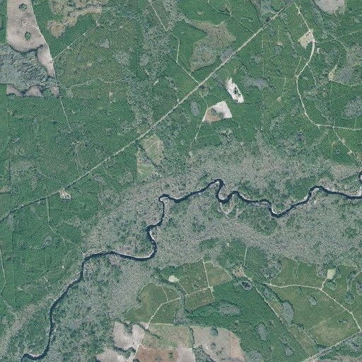 Aerial imagery of Perch Creek, GA