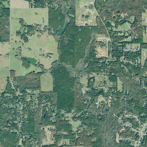 Aerial imagery of Pete Branch, GA