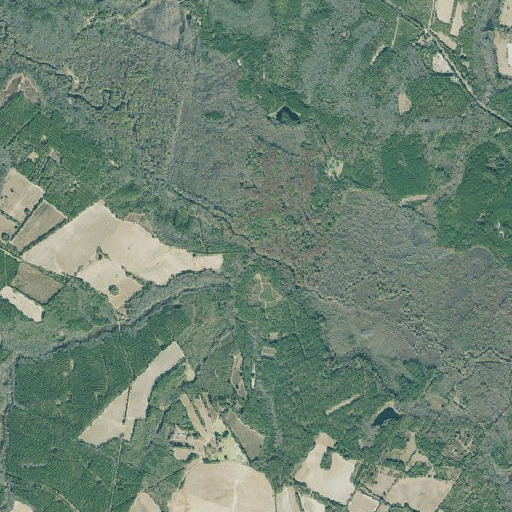 Aerial imagery of Peters Branch, GA