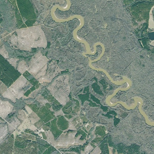 Aerial imagery of Pitts Creek, GA